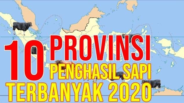 
                                 Daerah-Peternakan-Sapi-Terbesar-Di-10-Provinsi-Indonesia